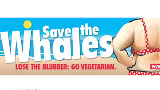 Illustration for article titled Shut Up, PETA